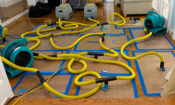 Professional Flood Damage Restoration technician working in Losantville, IN